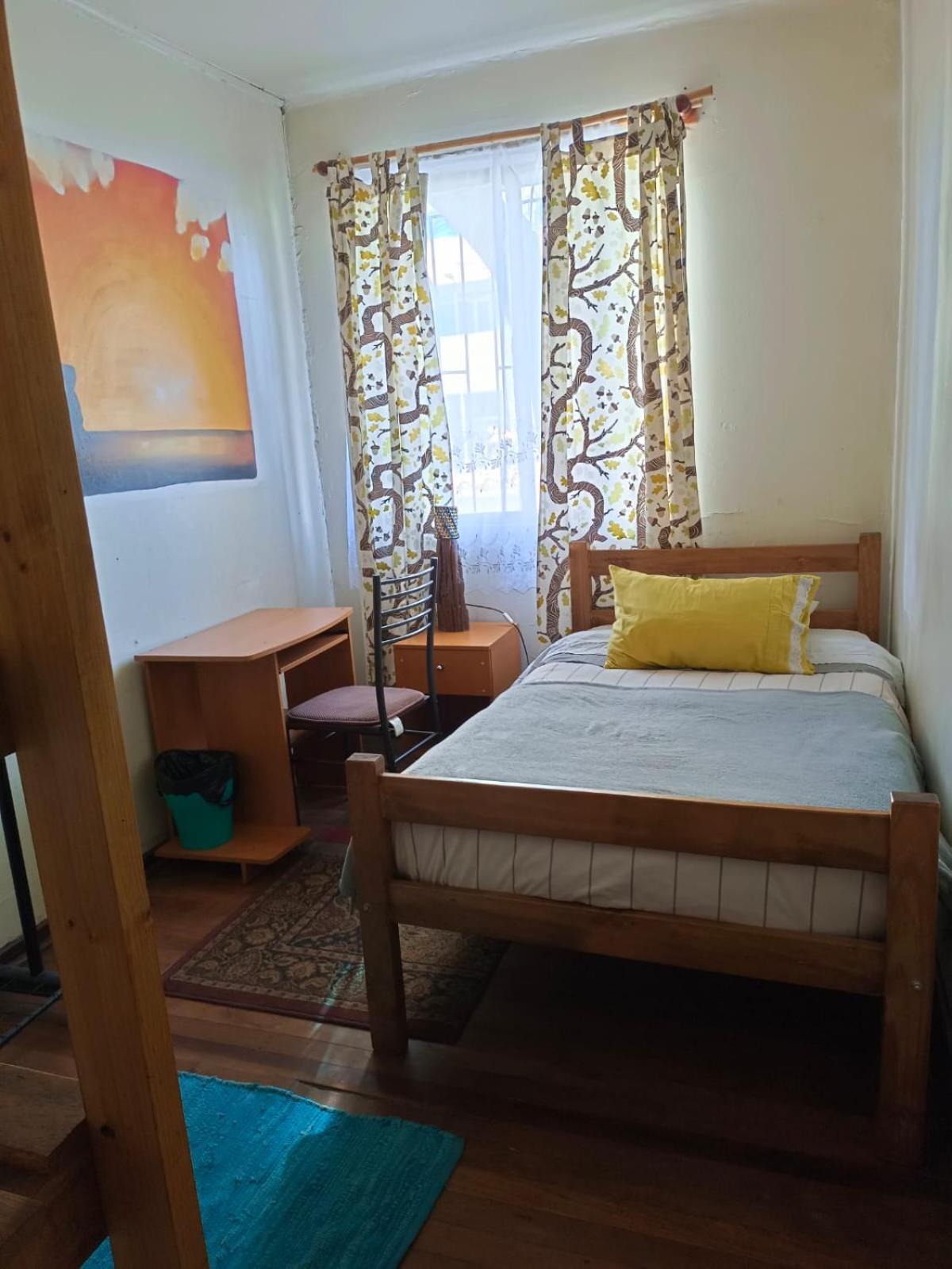 Tipico Hostel Chile 奇廉 外观 照片